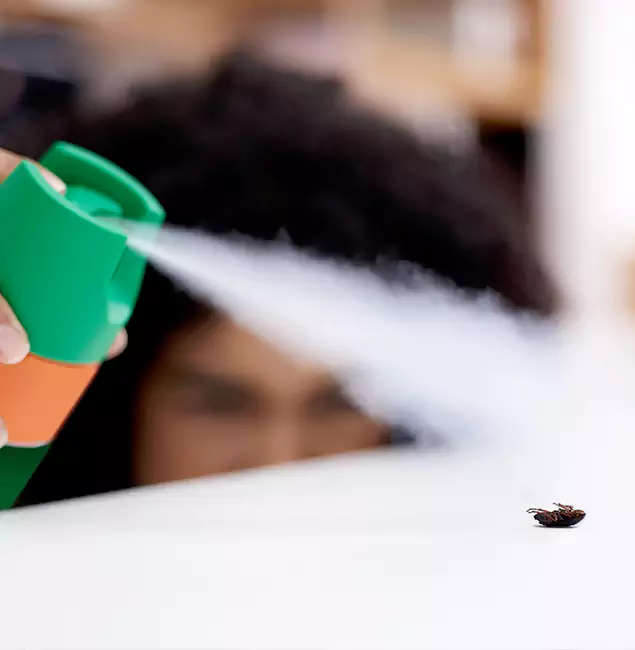 Why O Brien, OR Homeowners Choose Nutley Pest Control Pro for Roach Pest Control?