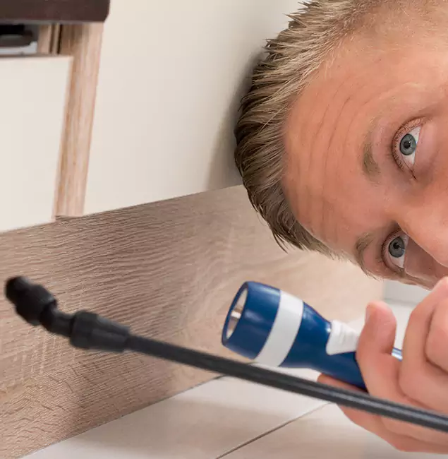 Why Choose Nutley Pest Control Pro for Rodent Exterminator in O Brien, OR?