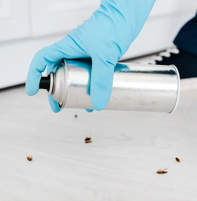 Why Choose Nutley Pest Control Pro for Safe Bed Bug Treatment in O Brien, OR?