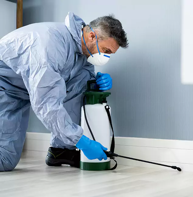Why Choose Nutley Pest Control Pro for Subterranean Termites Treatment in O Brien, OR?