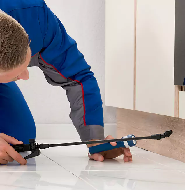 Why O Brien Residents Choose Nutley Pest Control Pro to Get Rid of Sugar Ants?