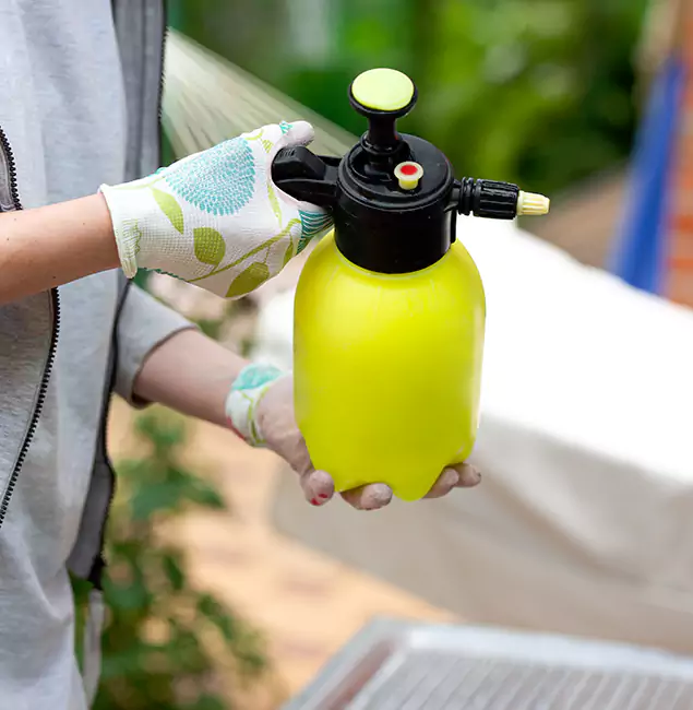 Why Choose Us: Nutley Pest Control Pro Termite Spraying Experts in O Brien, OR?