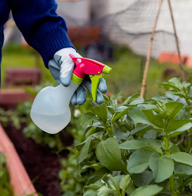 Why O Brien Relies on Nutley Pest Control Pro for Wasp Control Services?