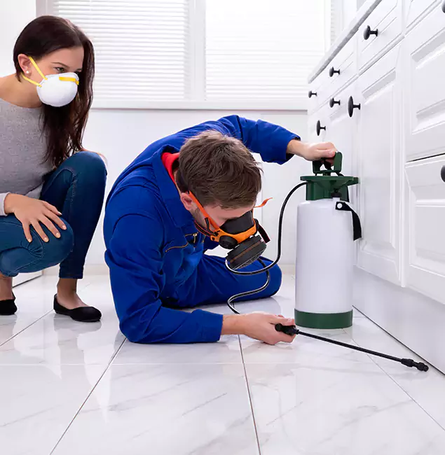 Why Choose Wood Termite Treatment by Nutley Pest Control Pro in O Brien, OR?