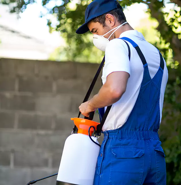Why Nutley Pest Control Pro Is the Right Choice for Yellow Jacket Removal in O Brien, OR?