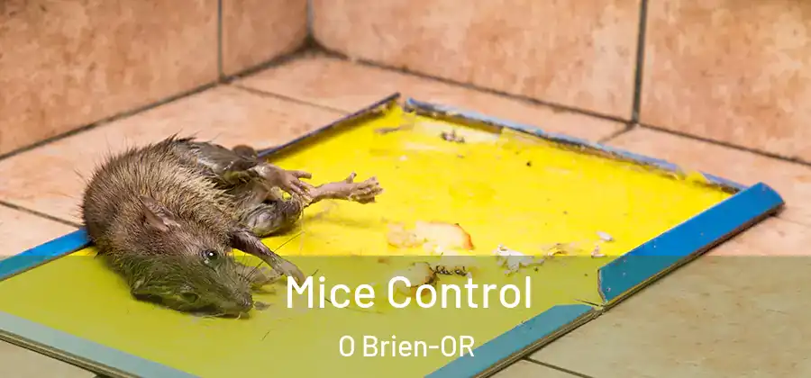 Mice Control O Brien-OR