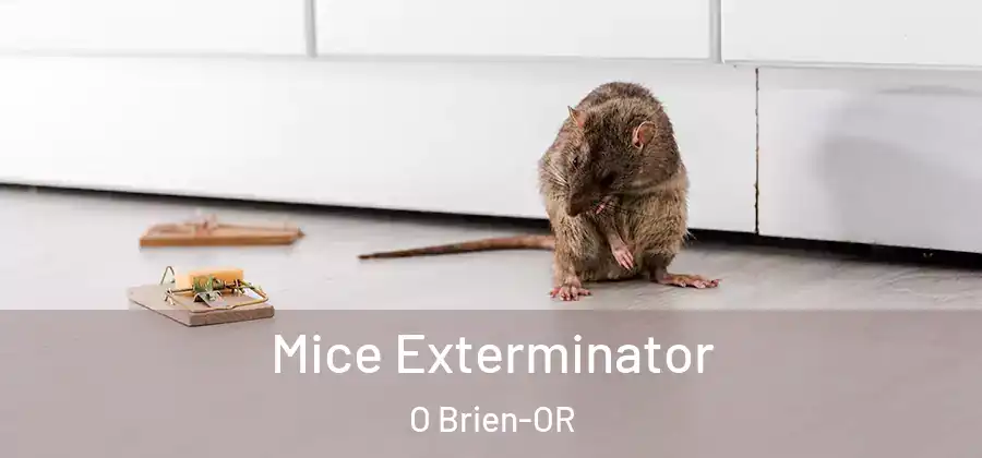 Mice Exterminator O Brien-OR