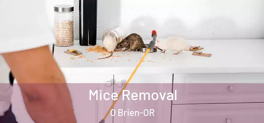 Mice Removal O Brien-OR