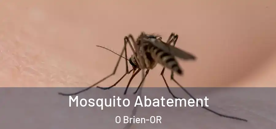 Mosquito Abatement O Brien-OR