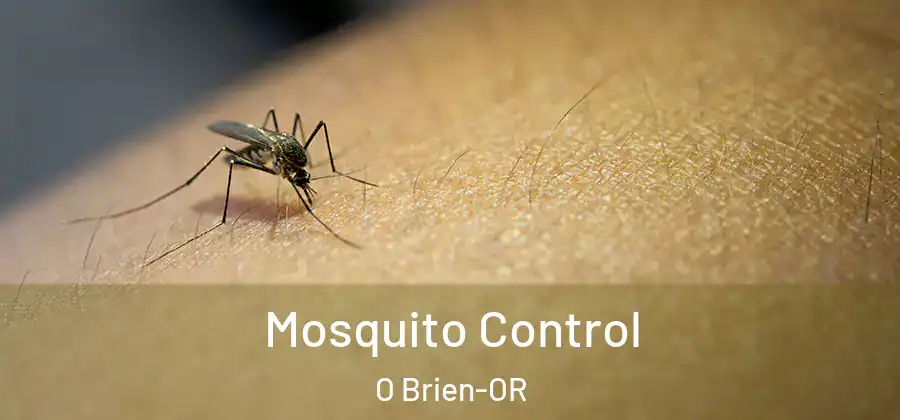 Mosquito Control O Brien-OR