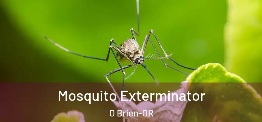 Mosquito Exterminator O Brien-OR