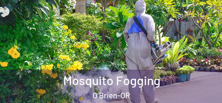 Mosquito Fogging O Brien-OR