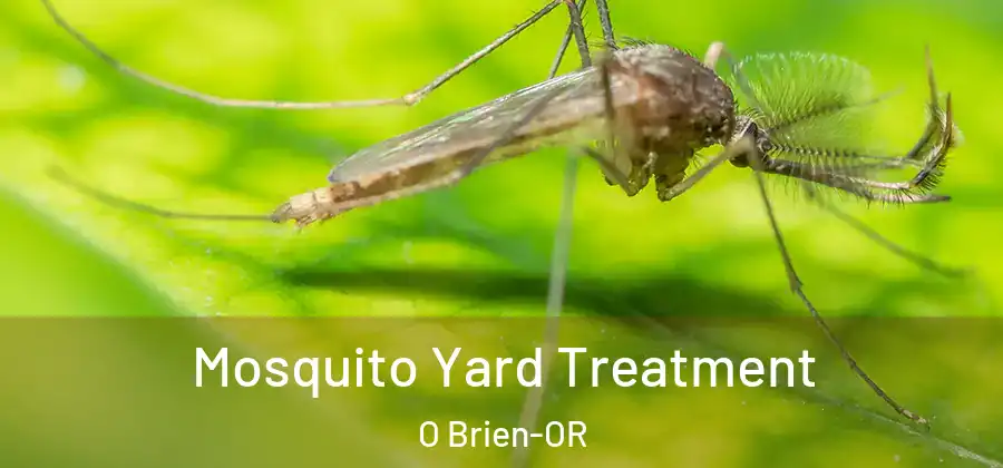 Mosquito Yard Treatment O Brien-OR