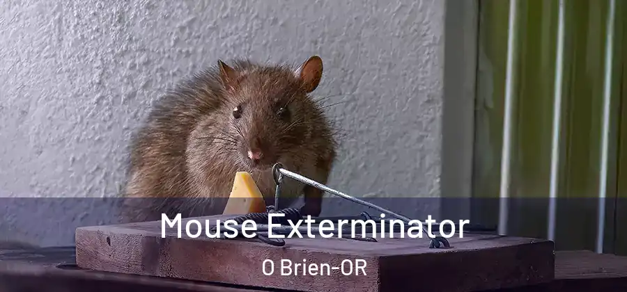 Mouse Exterminator O Brien-OR