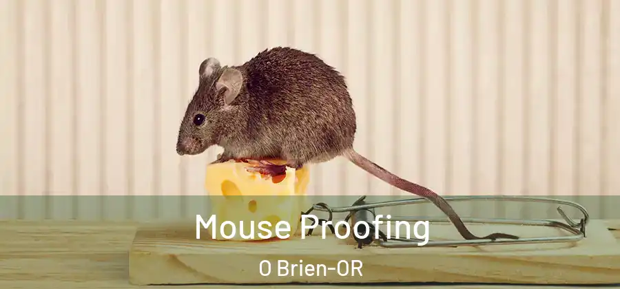 Mouse Proofing O Brien-OR