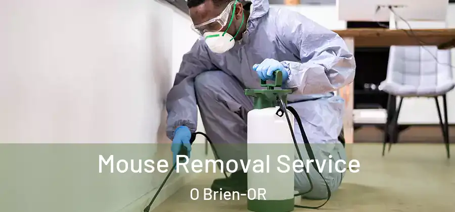 Mouse Removal Service O Brien-OR