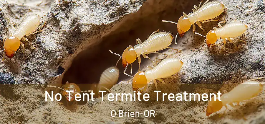 No Tent Termite Treatment O Brien-OR