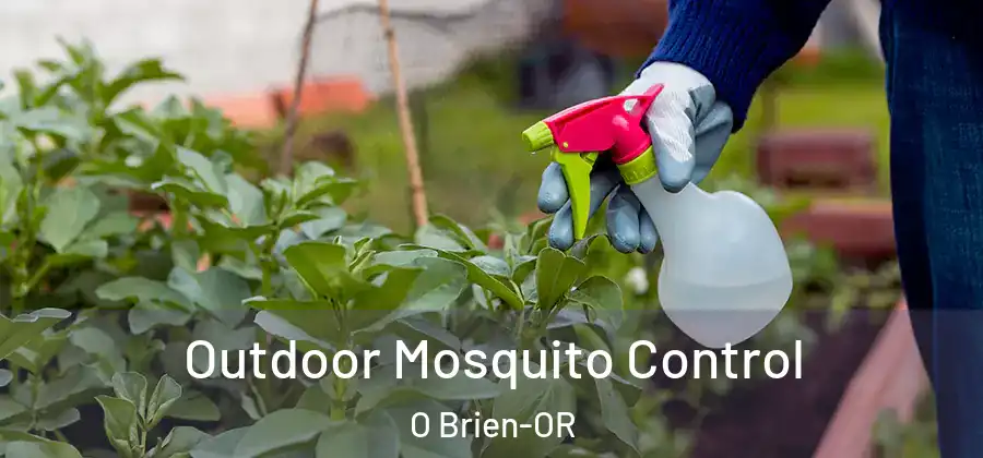 Outdoor Mosquito Control O Brien-OR