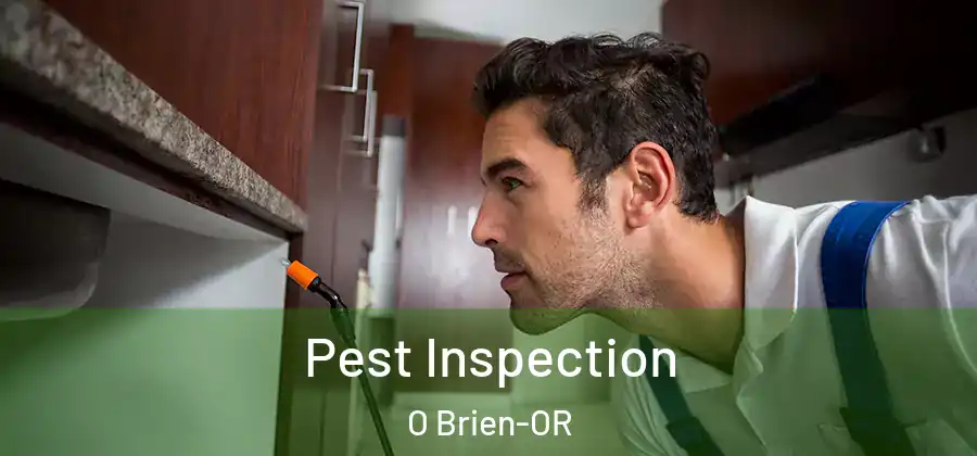 Pest Inspection O Brien-OR
