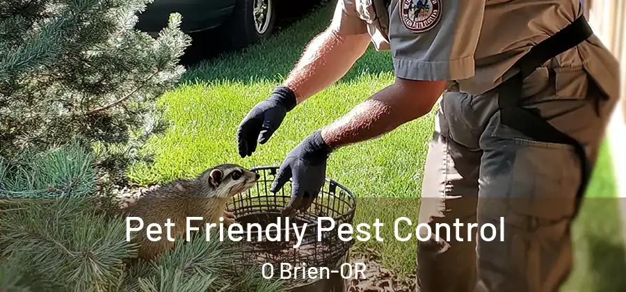 Pet Friendly Pest Control O Brien-OR