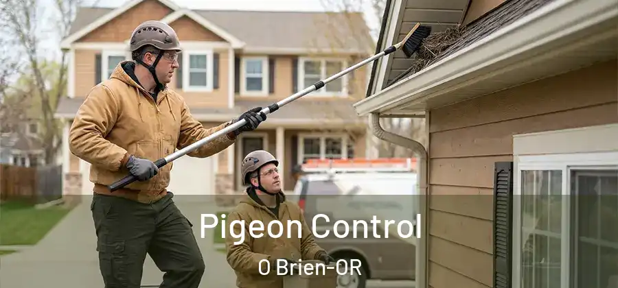  Pigeon Control O Brien-OR