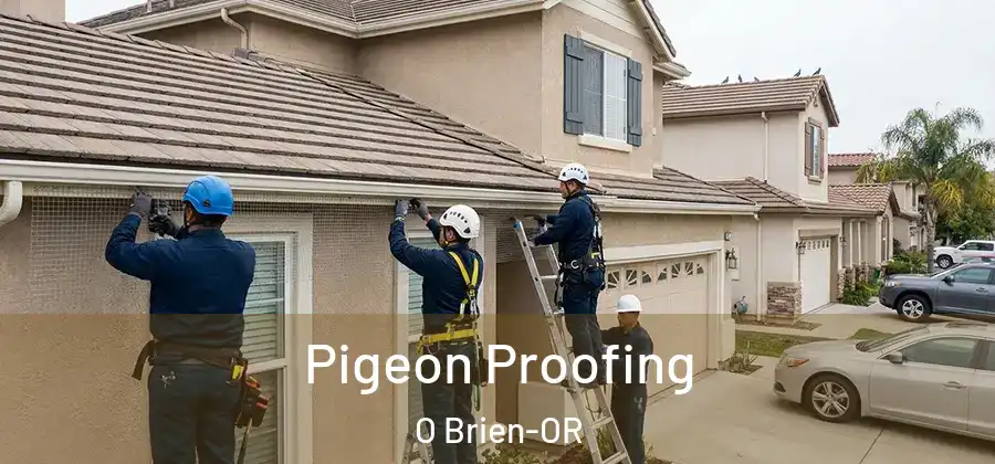 Pigeon Proofing O Brien-OR