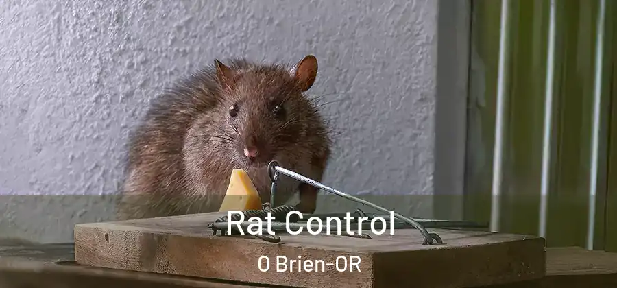 Rat Control O Brien-OR