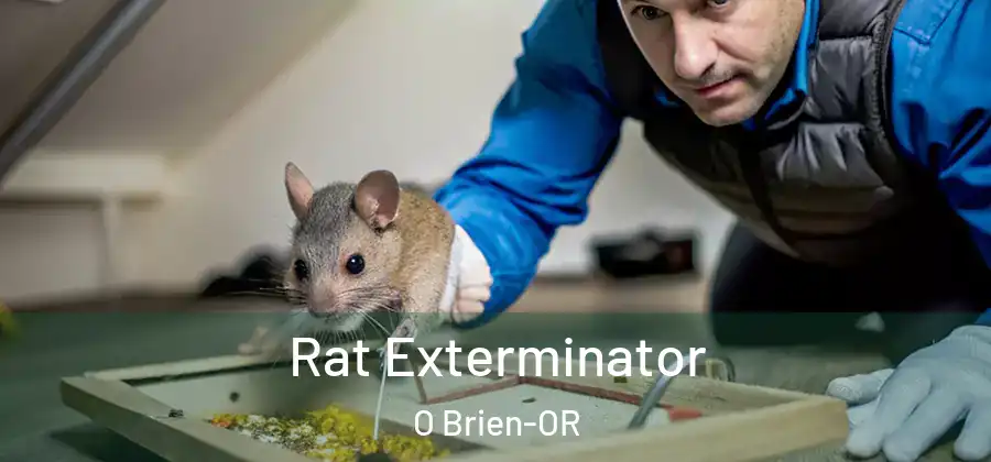 Rat Exterminator O Brien-OR