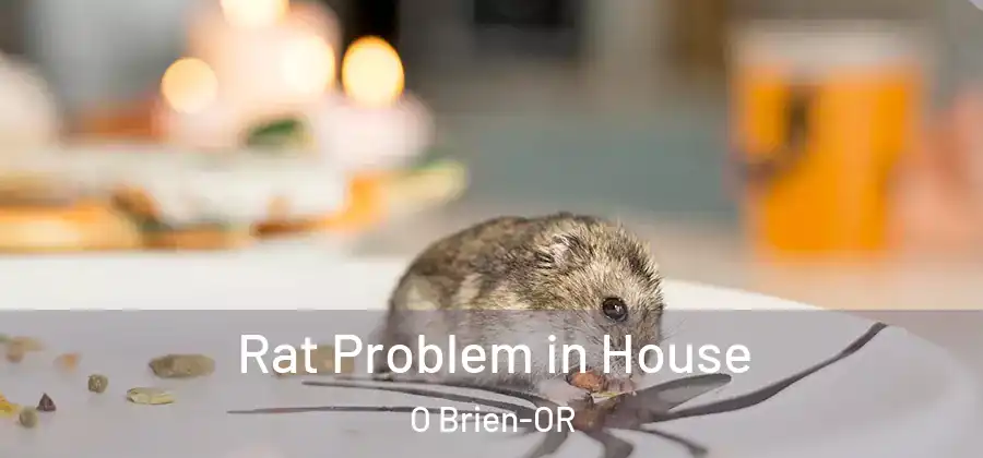 Rat Problem in House O Brien-OR