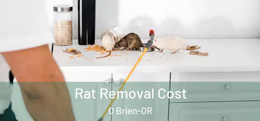 Rat Removal Cost O Brien-OR