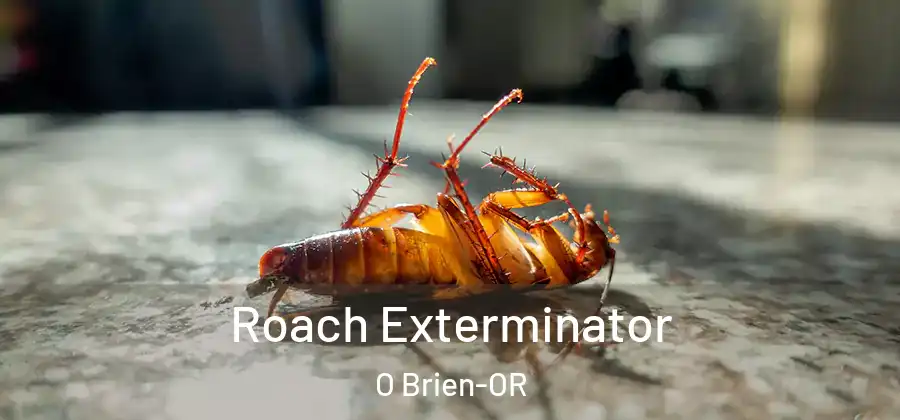 Roach Exterminator O Brien-OR