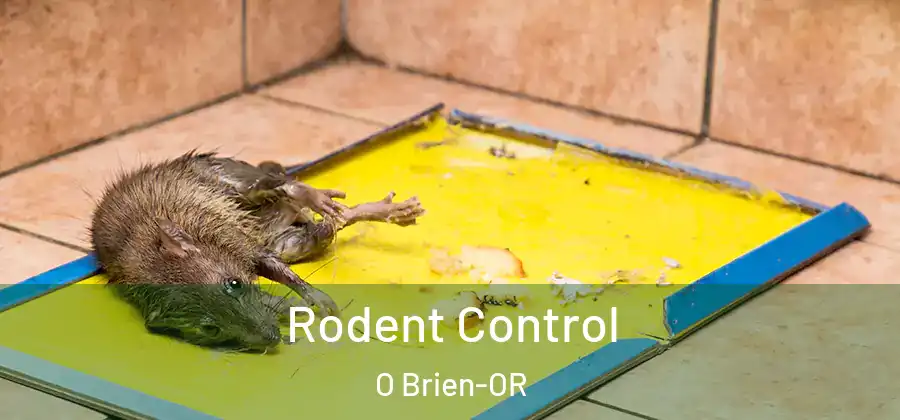 Rodent Control O Brien-OR