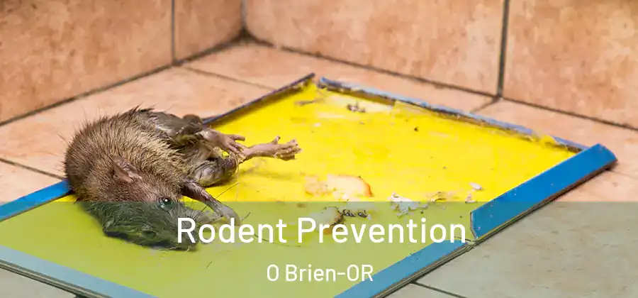 Rodent Prevention O Brien-OR
