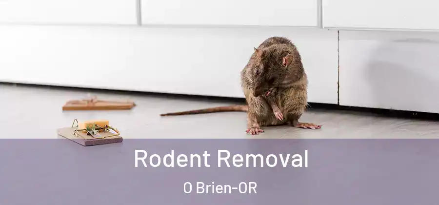Rodent Removal O Brien-OR
