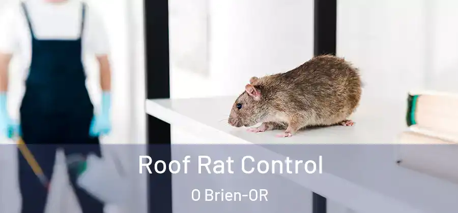 Roof Rat Control O Brien-OR
