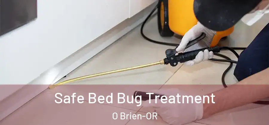 Safe Bed Bug Treatment O Brien-OR