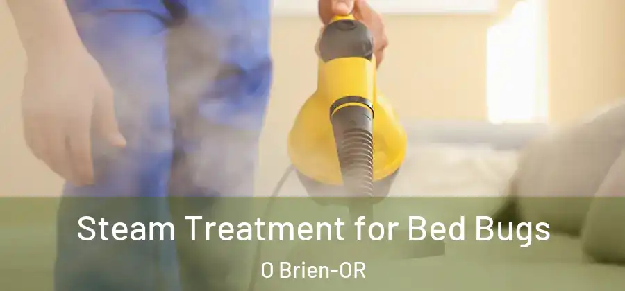 Steam Treatment for Bed Bugs O Brien-OR