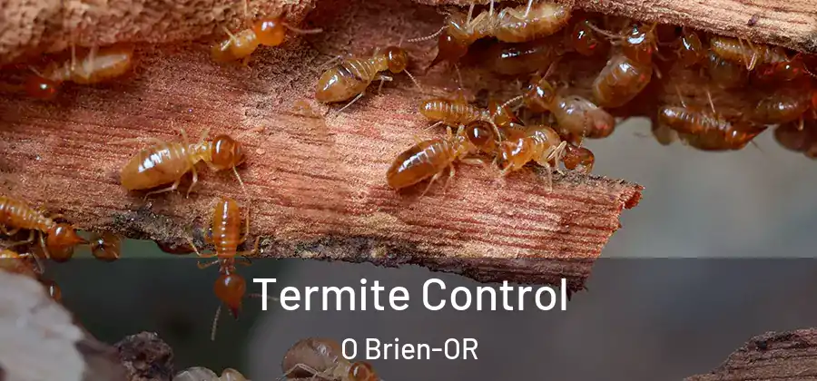 Termite Control O Brien-OR