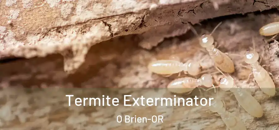Termite Exterminator O Brien-OR