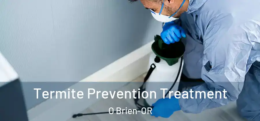 Termite Prevention Treatment O Brien-OR