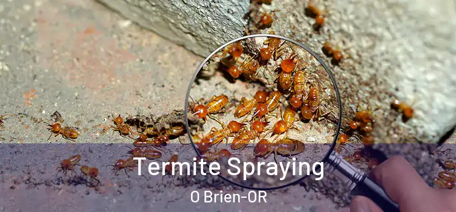 Termite Spraying O Brien-OR