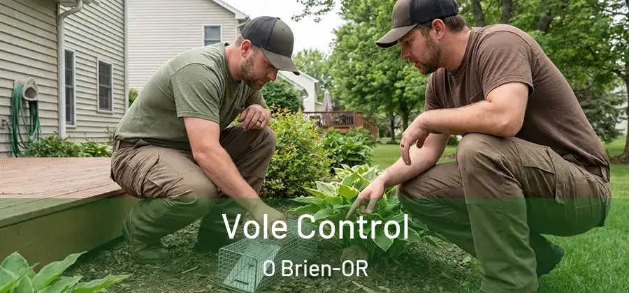 Vole Control O Brien-OR