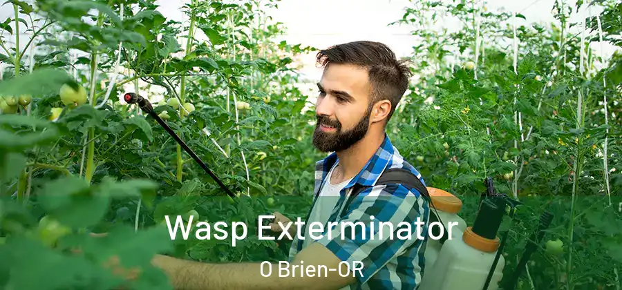 Wasp Exterminator O Brien-OR