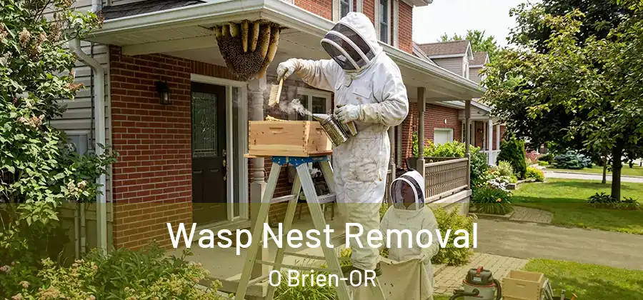 Wasp Nest Removal O Brien-OR