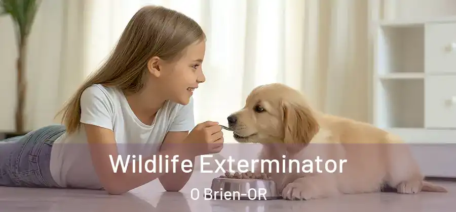 Wildlife Exterminator O Brien-OR