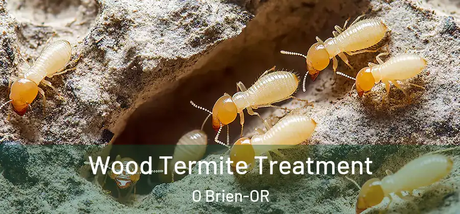 Wood Termite Treatment O Brien-OR