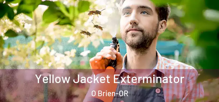  Yellow Jacket Exterminator O Brien-OR